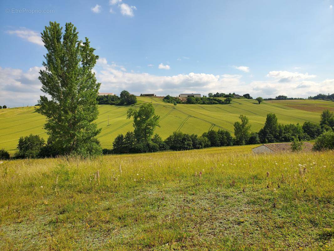 Terrain à LABASTIDE-PAUMES