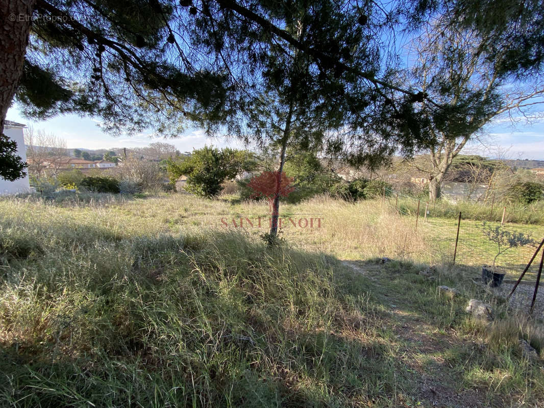 Terrain à BELARGA