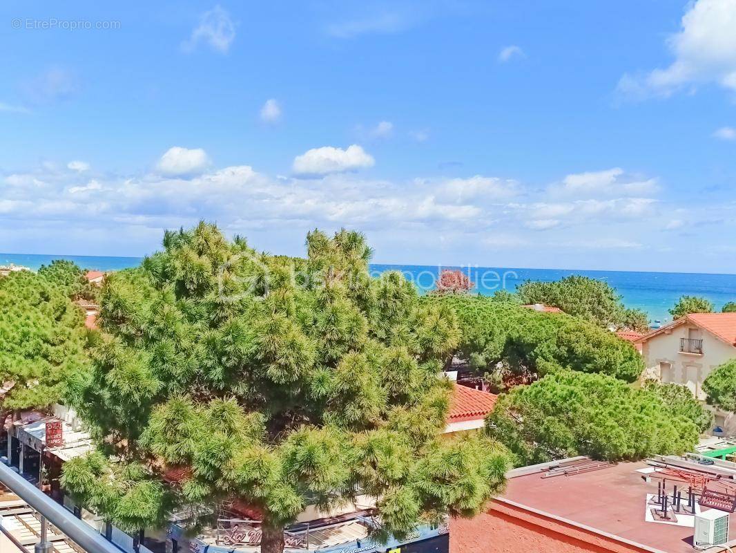 Appartement à ARGELES-SUR-MER