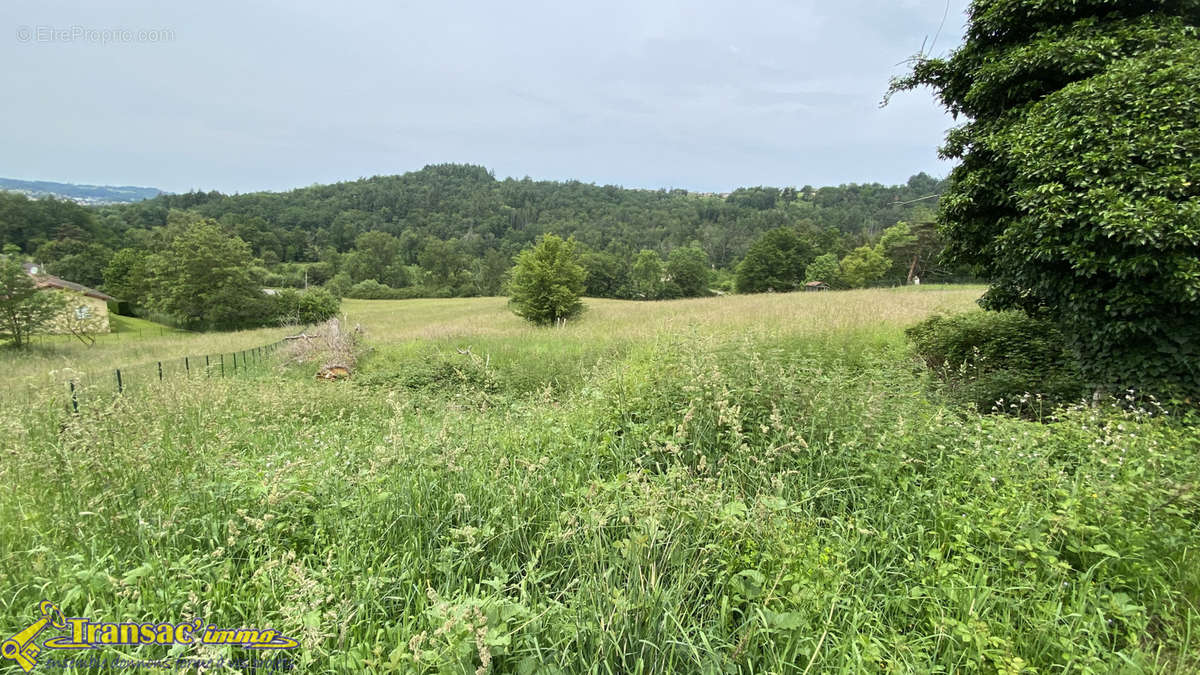 Terrain à COURPIERE