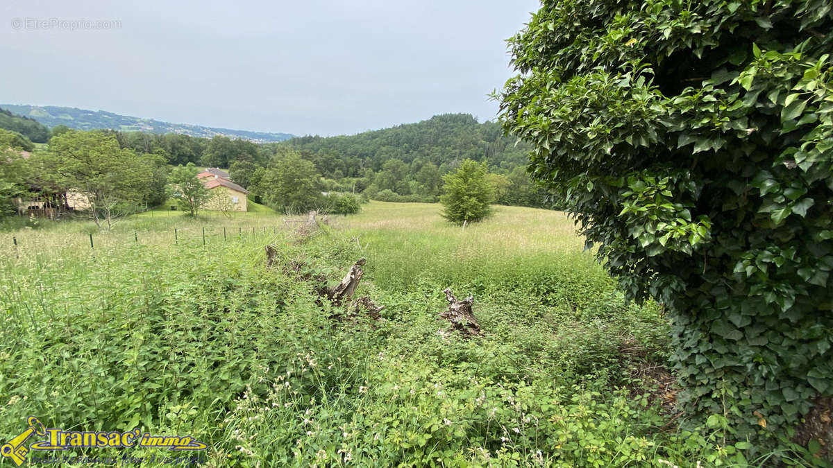 Terrain à COURPIERE