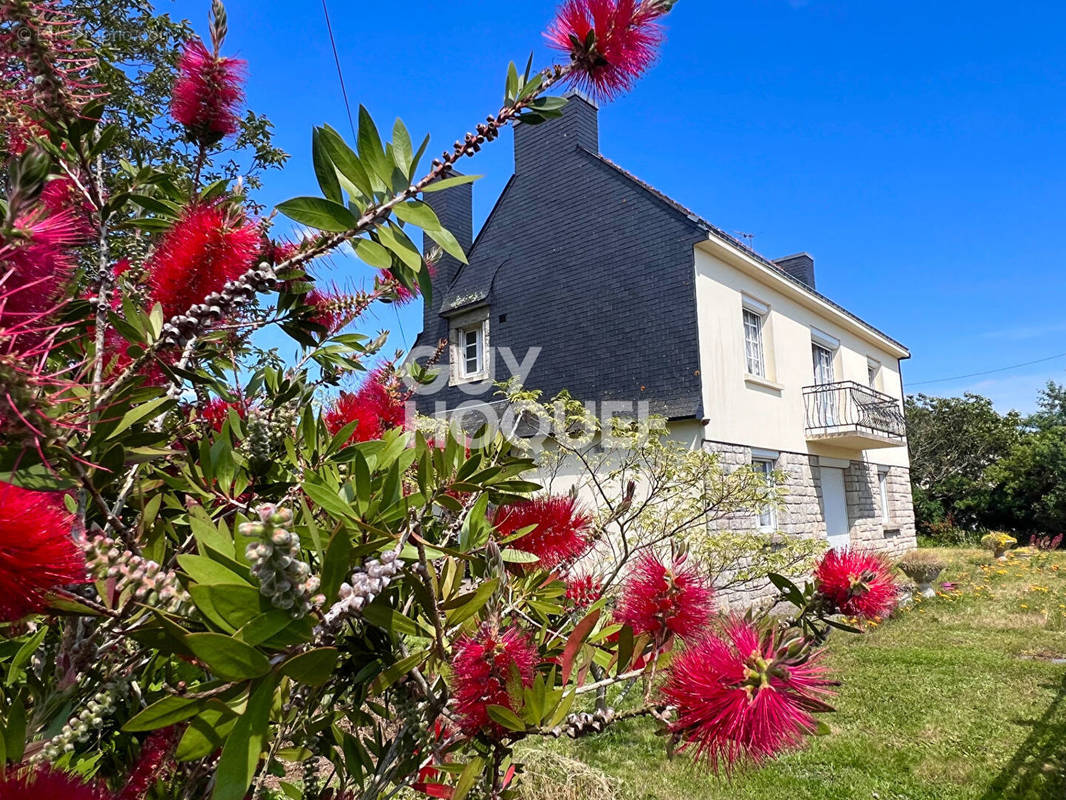 Maison à SURZUR