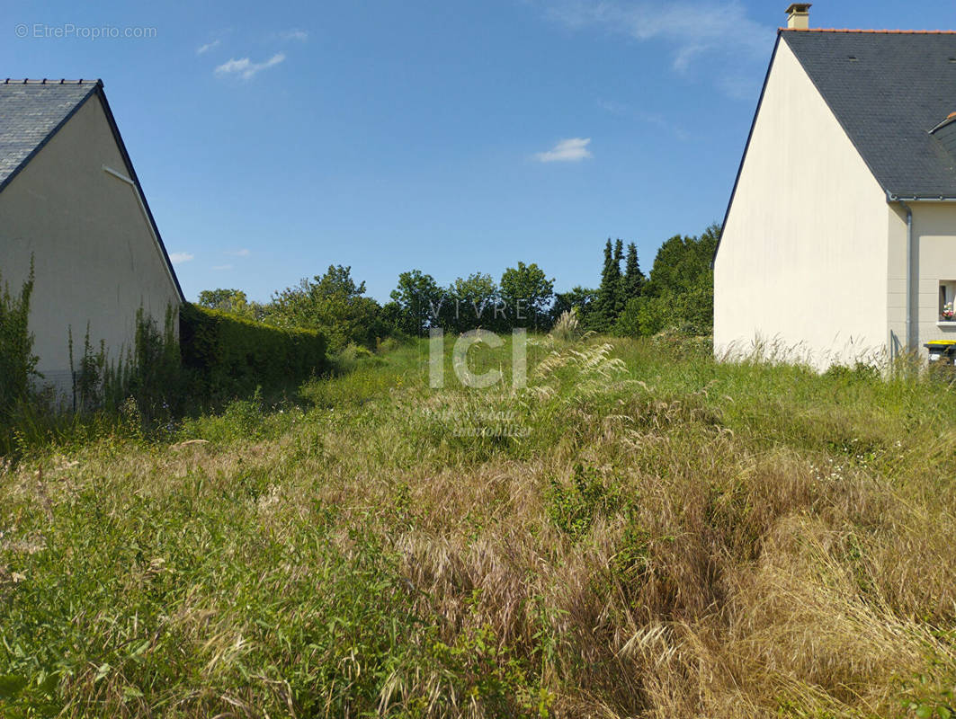 Terrain à SARRIGNE