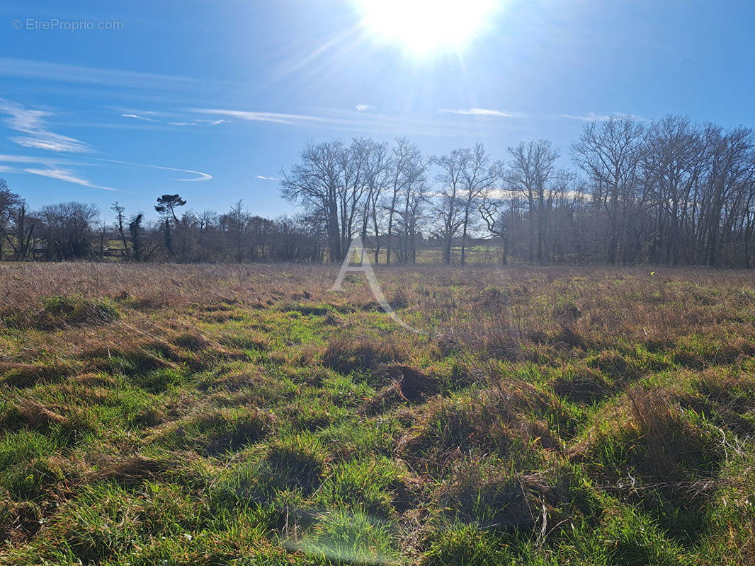 Terrain à LABASTIDE-D&#039;ARMAGNAC