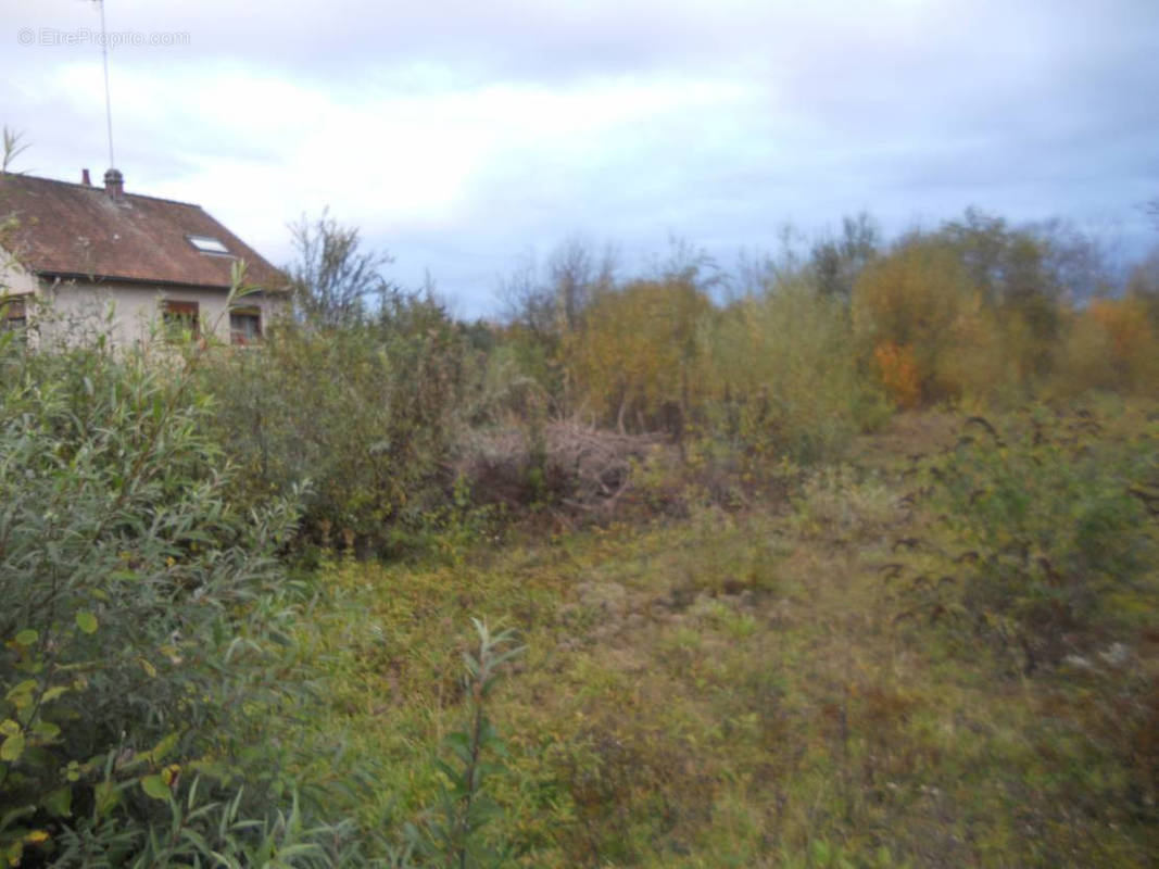 Terrain à LONGPRE-LES-CORPS-SAINTS