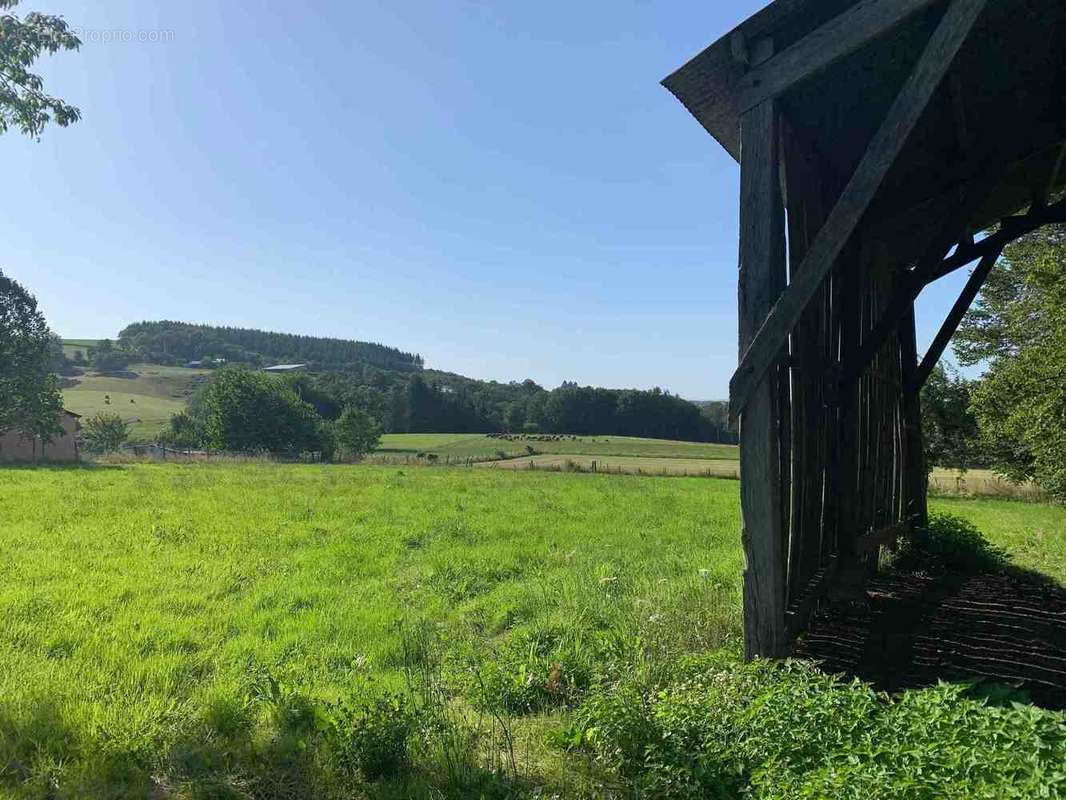 Terrain à NEUVIC-ENTIER