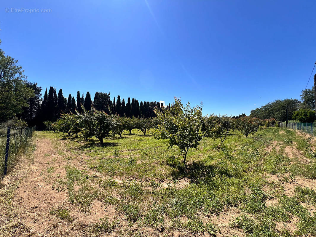 Terrain à PEZILLA-LA-RIVIERE