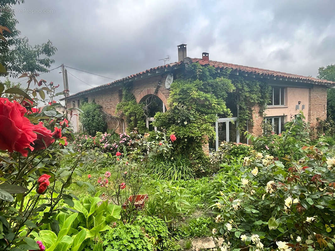 Maison à SAINT-RUSTICE