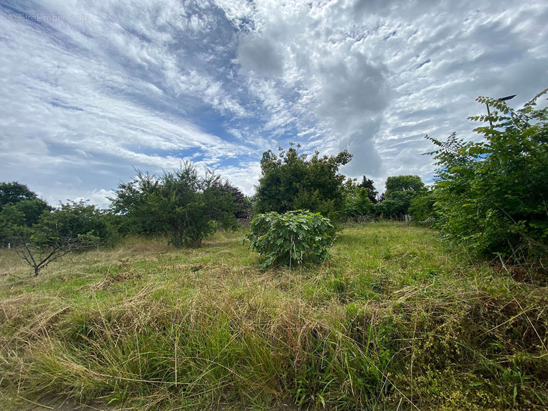 Terrain à BRIOLLAY