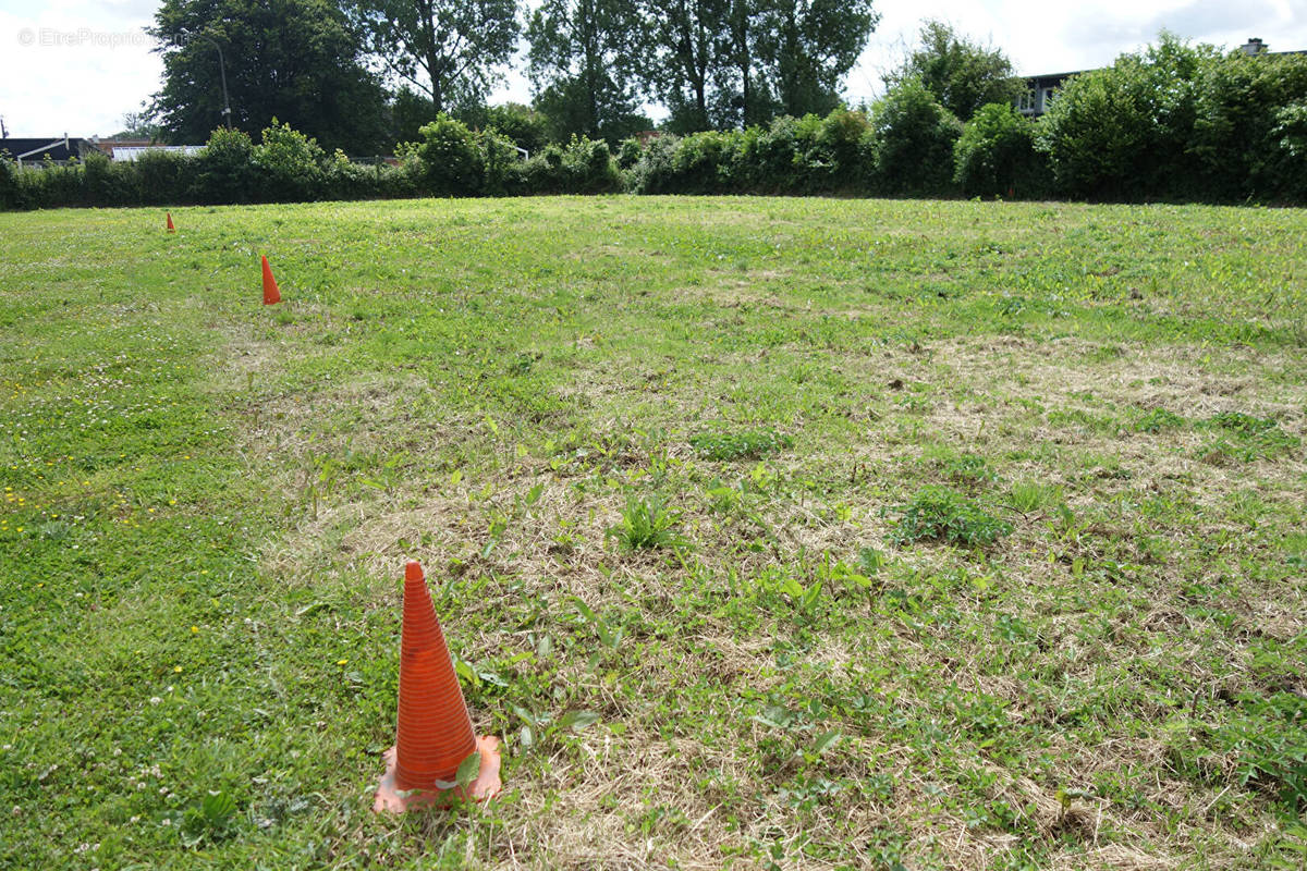 Terrain à CAMPAGNE-LES-HESDIN