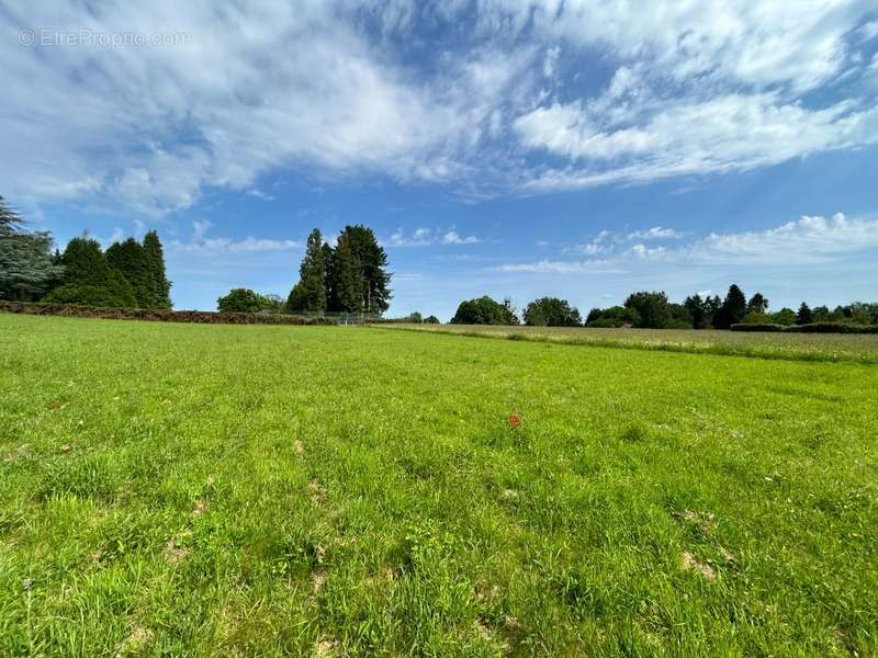 Terrain à COUZEIX