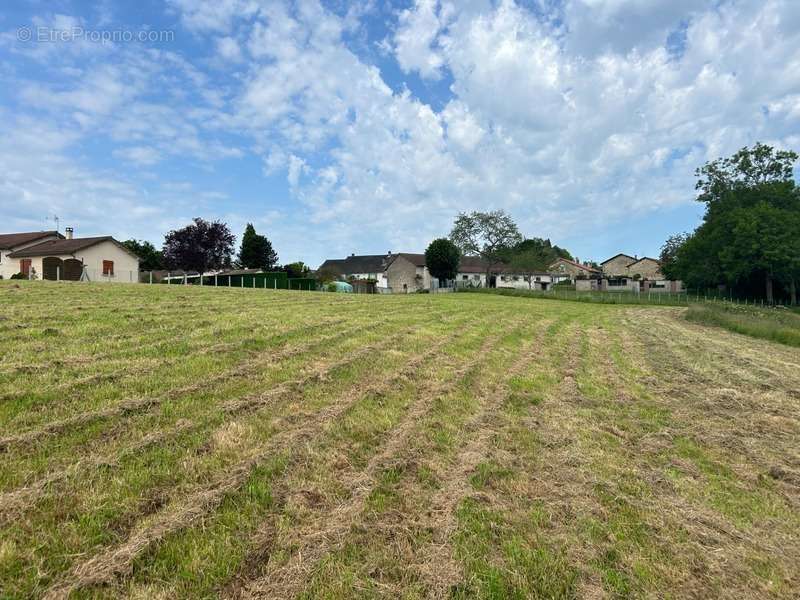 Terrain à COUZEIX