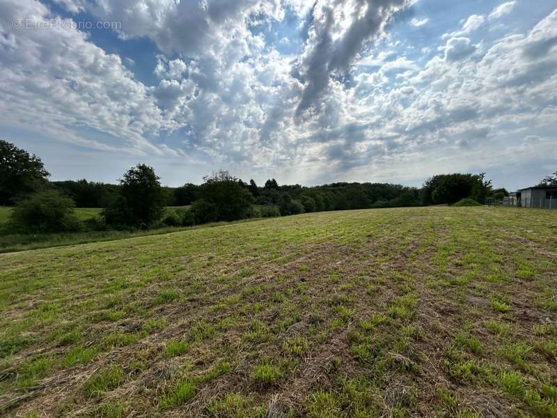 Terrain à COUZEIX