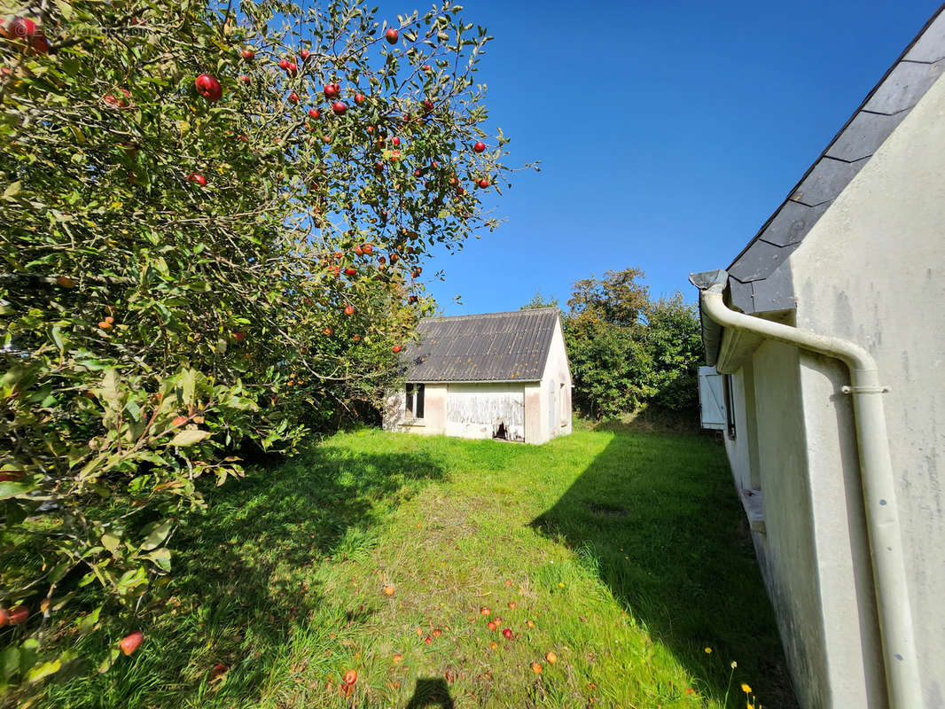 Maison à SAINT-QUAY-PERROS