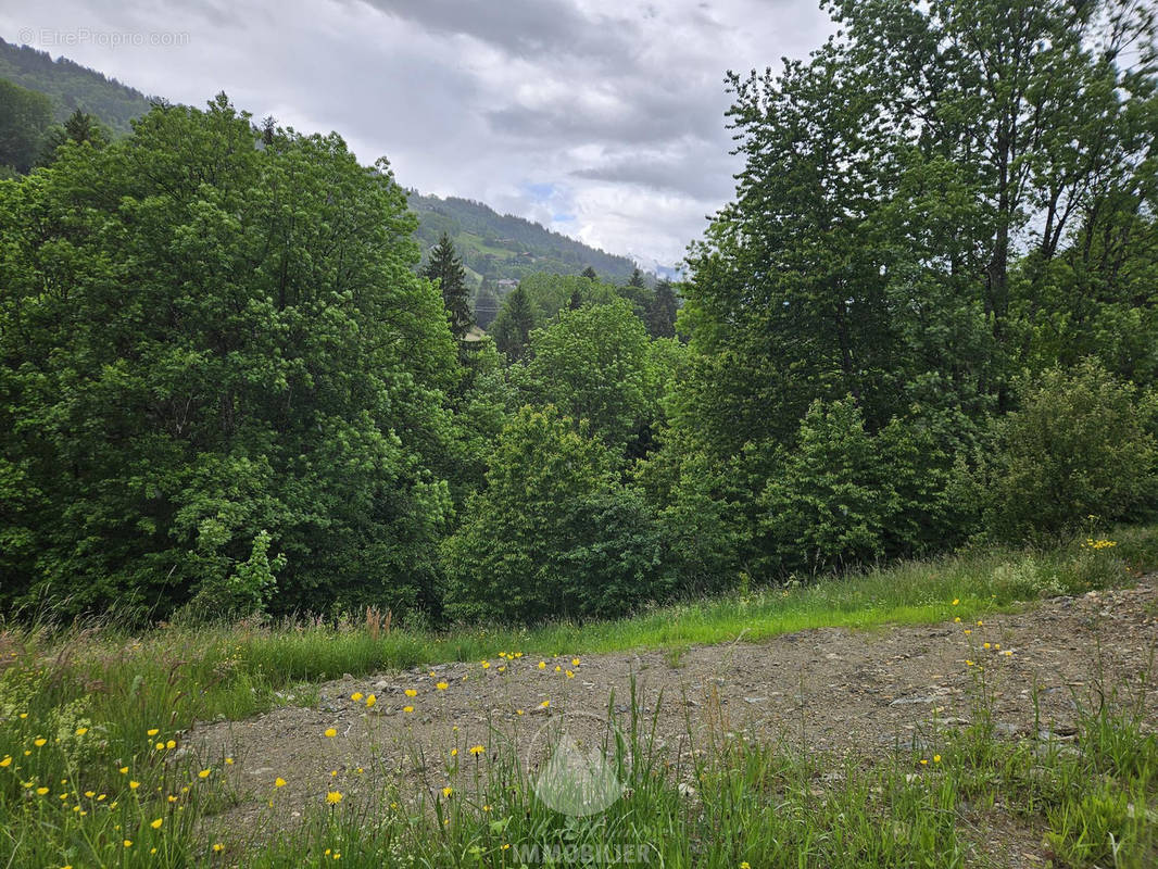 Terrain à SAINT-GERVAIS-LES-BAINS