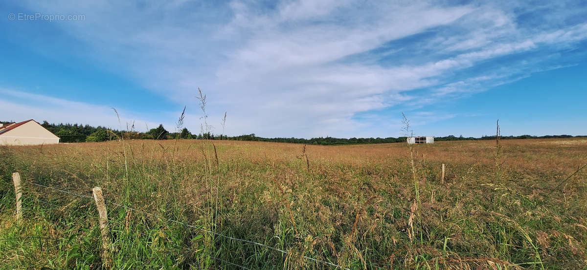 Terrain à CERISIERS