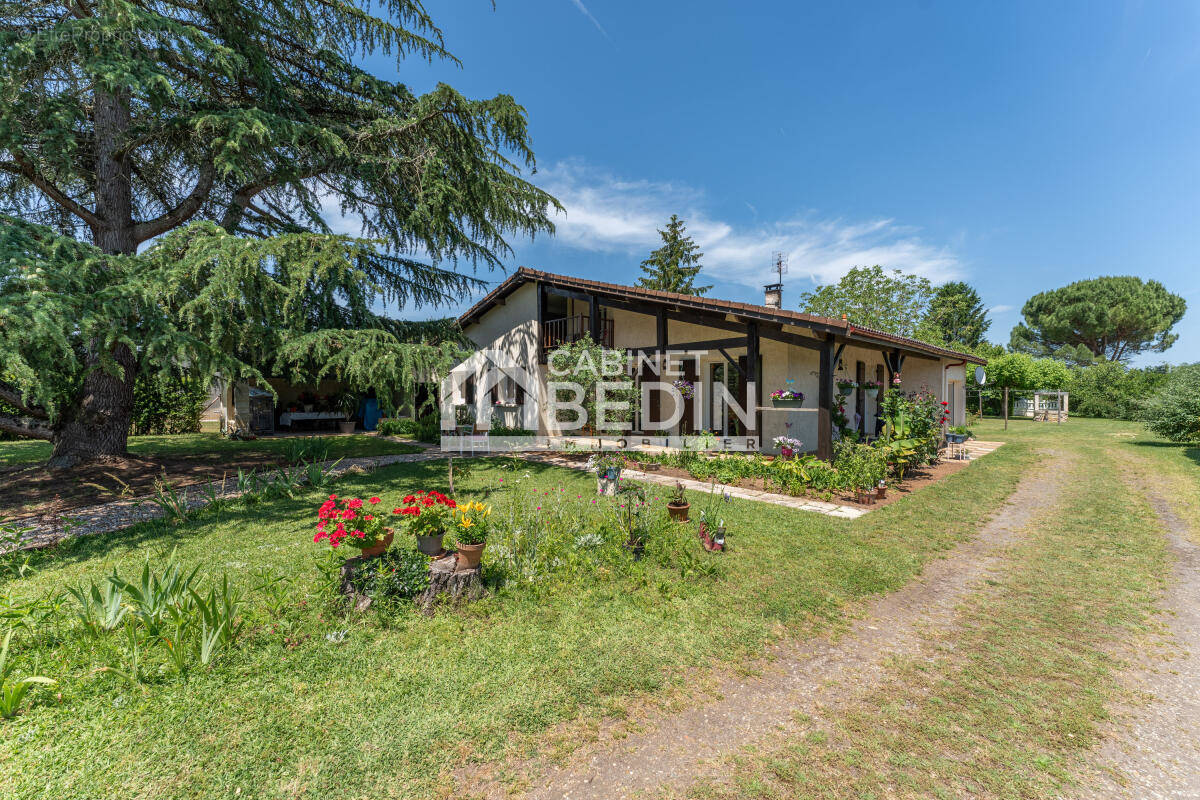 Maison à PUJOLS-SUR-CIRON