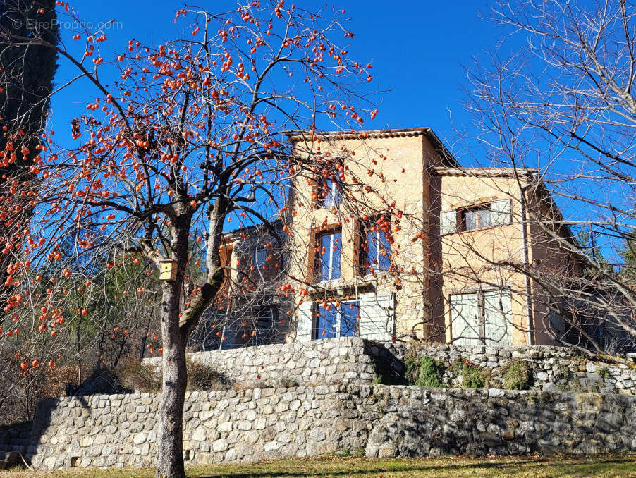 Maison à ENTREVAUX