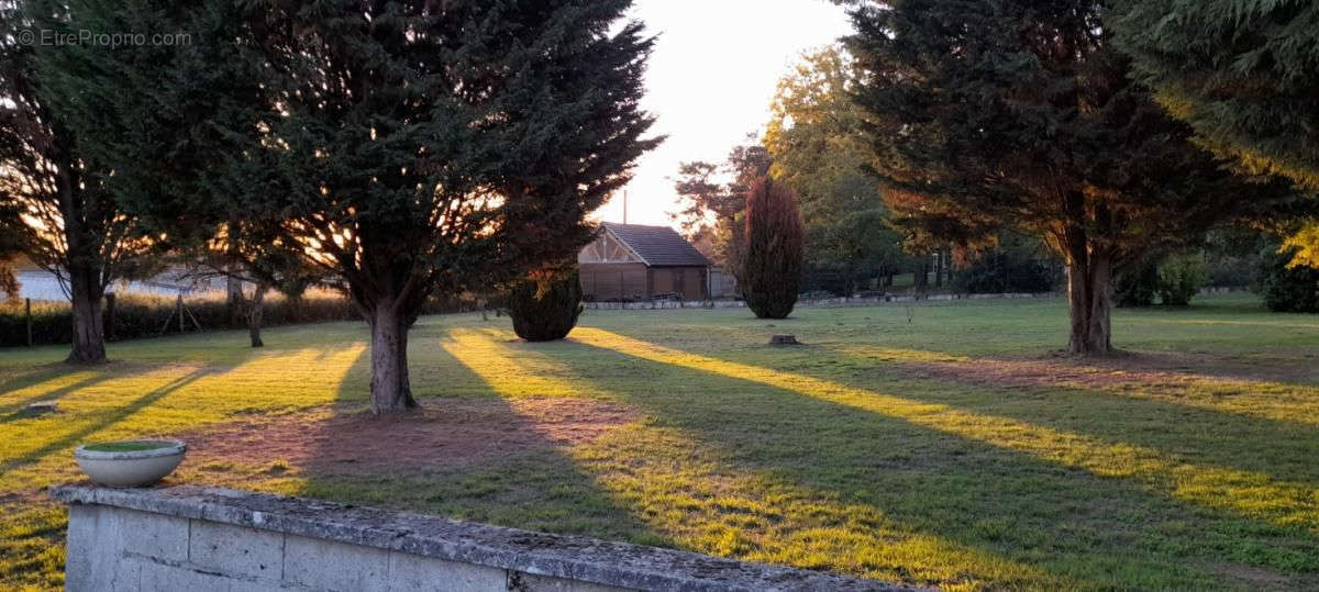 Maison à VILLERS-COTTERETS