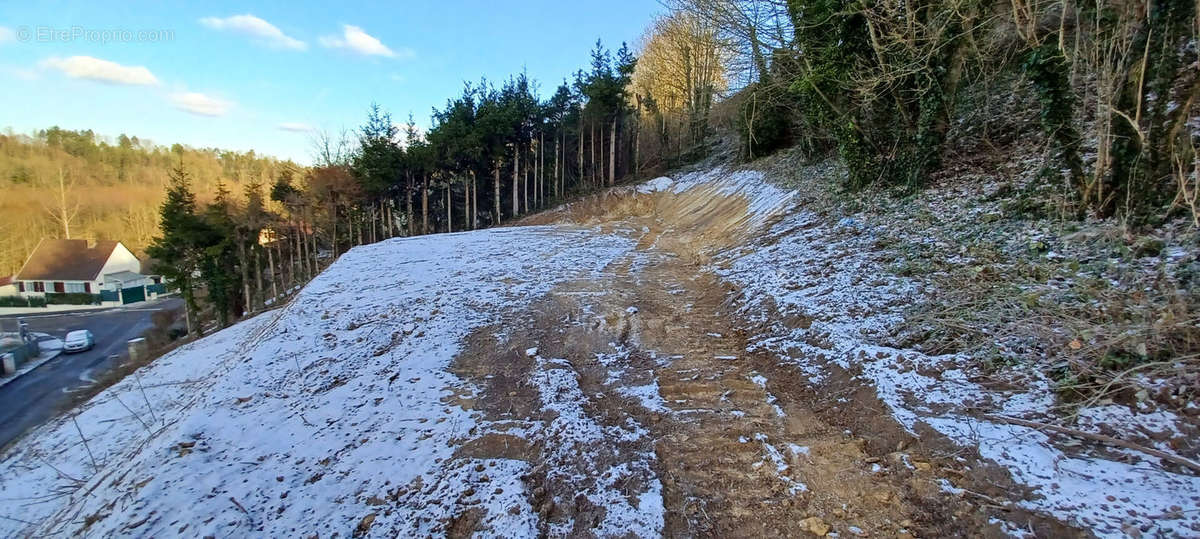 Terrain à VILLERS-COTTERETS