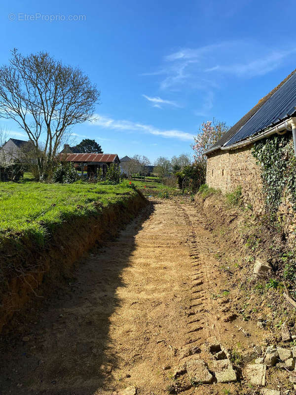 Terrain à PLAINE-HAUTE