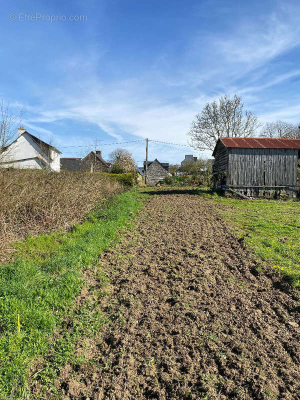 Terrain à PLAINE-HAUTE