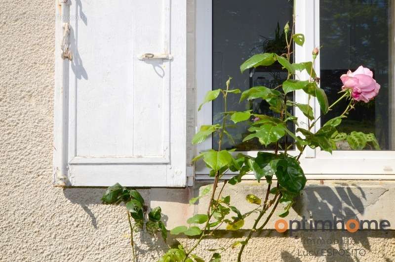 Maison à SAINT-BRICE-SUR-VIENNE