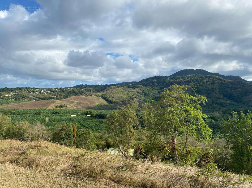 Terrain à LE FRANCOIS