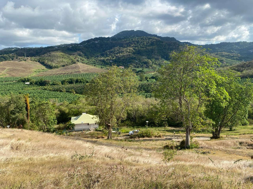 Terrain à LE FRANCOIS