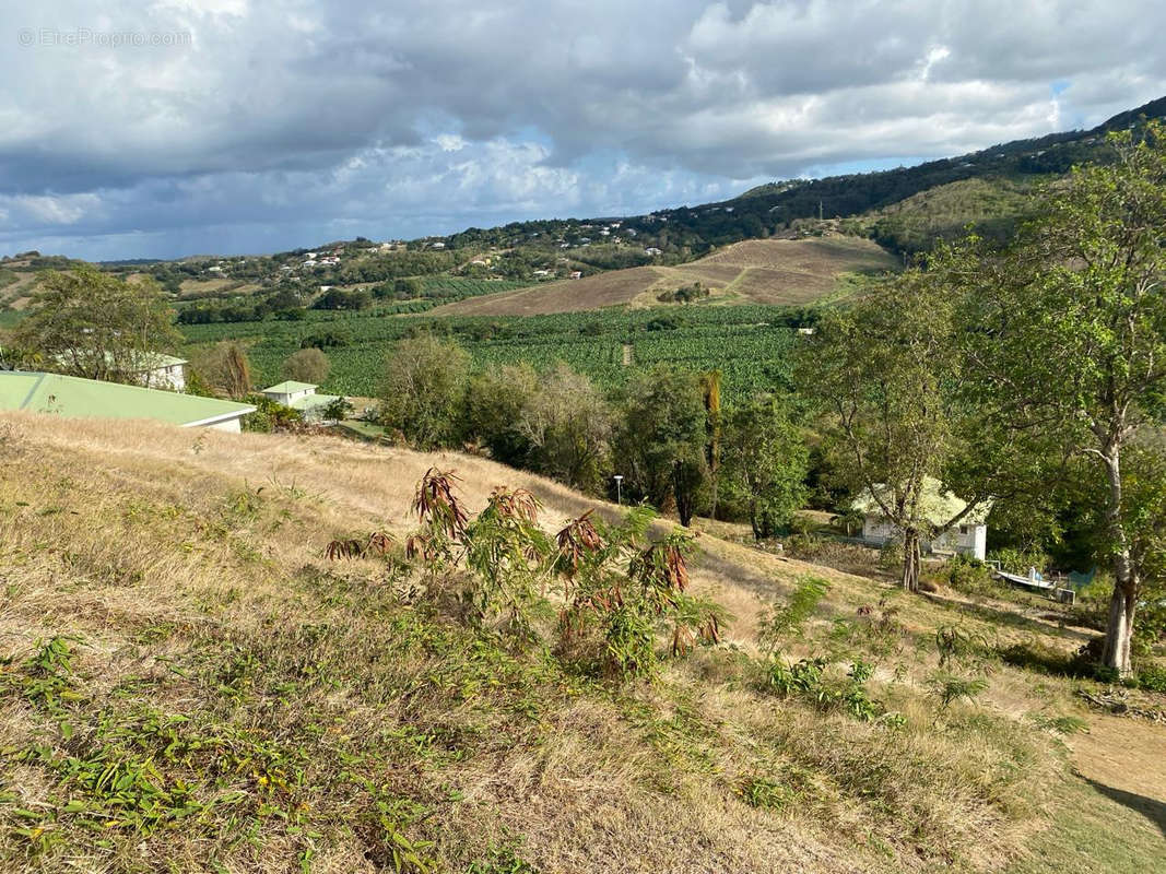 Terrain à LE FRANCOIS