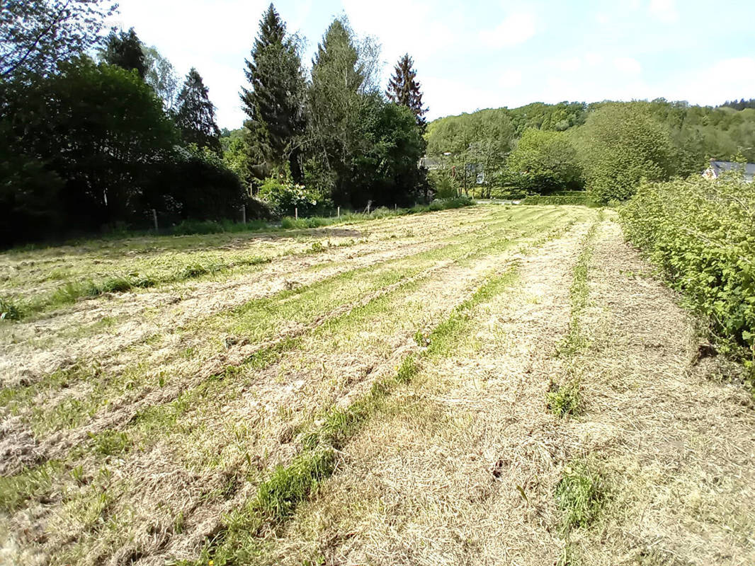 Terrain à SAINT-GERMAIN-SOUS-CAILLY