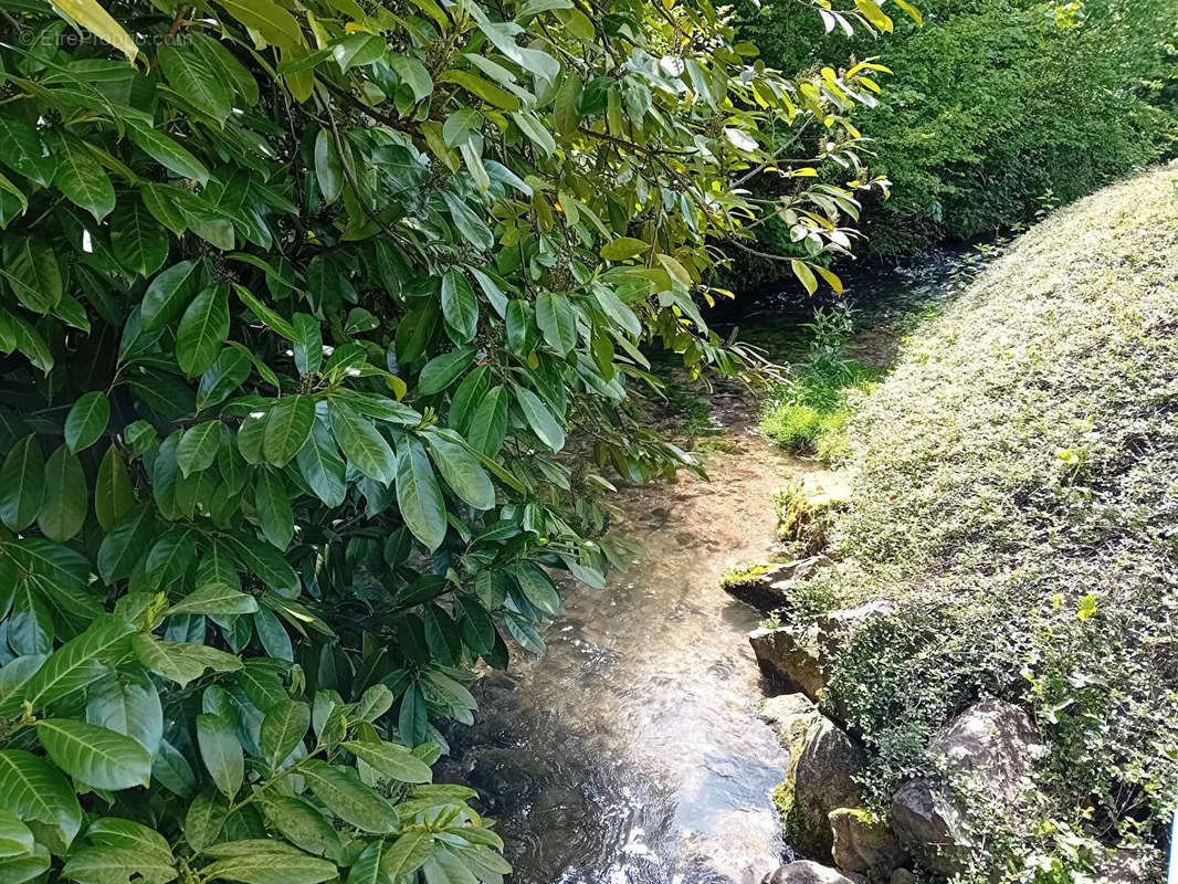 Terrain à SAINT-GERMAIN-SOUS-CAILLY