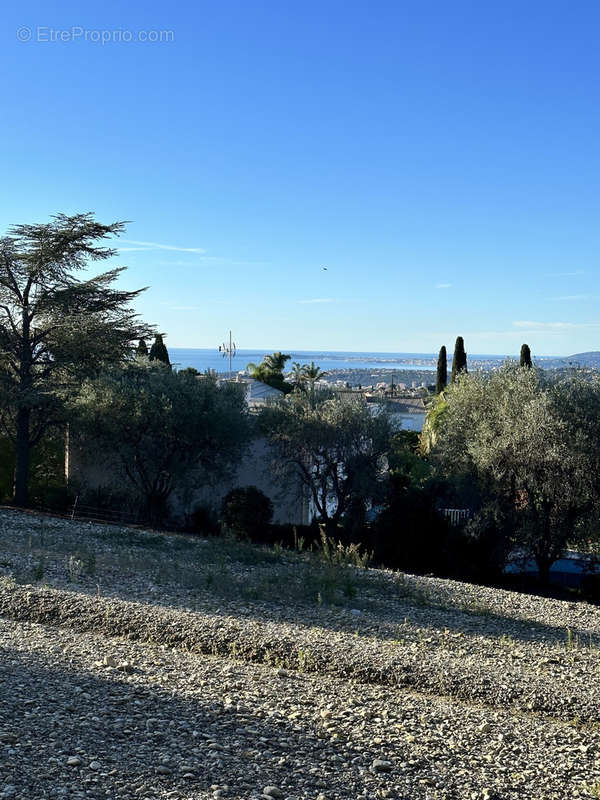 Terrain à NICE