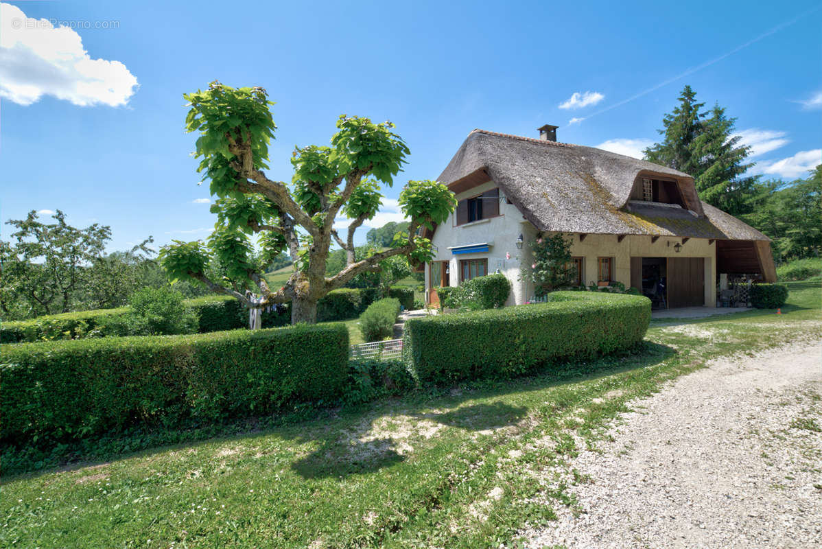 Maison à PALADRU