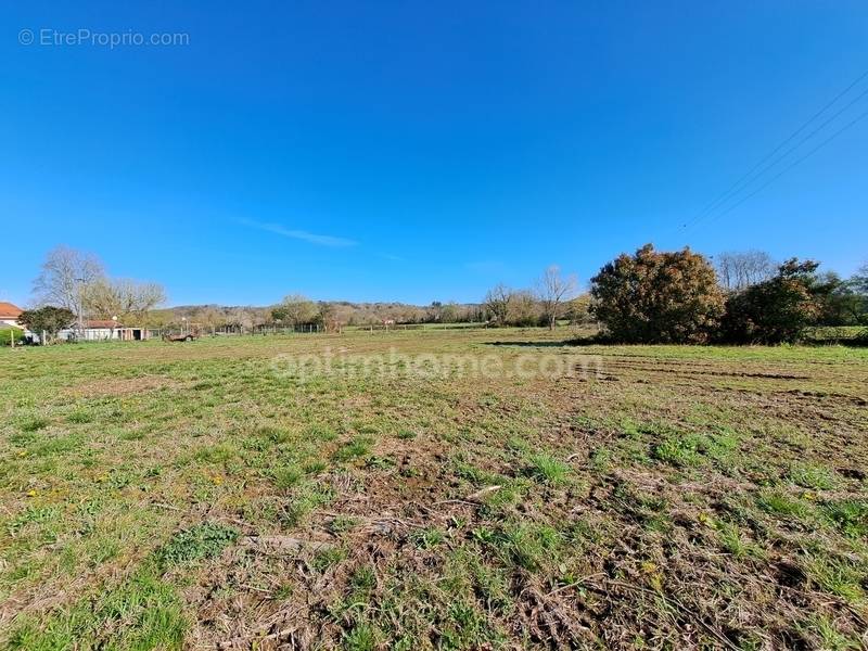 Terrain à SAUVETERRE-DE-BEARN