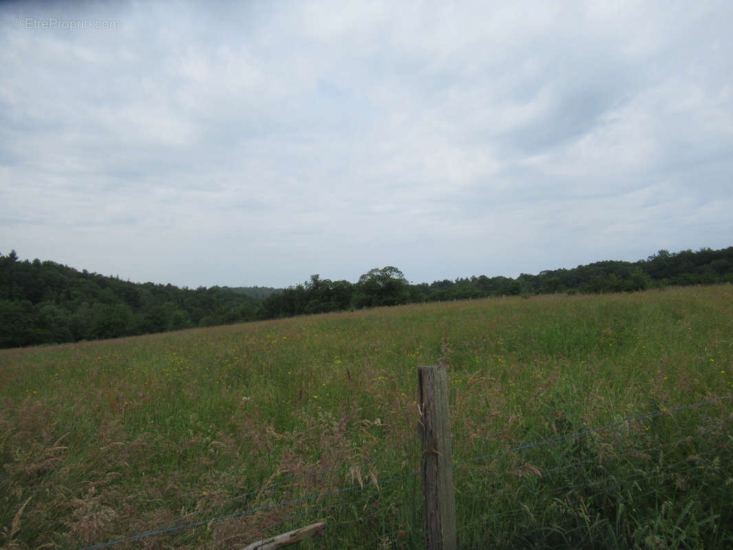 Terrain à SAINT-YRIEIX-LA-PERCHE