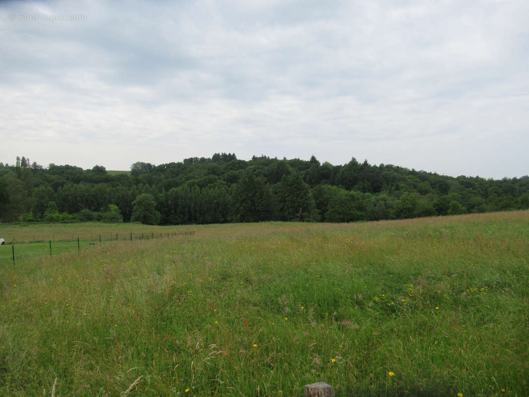 Terrain à SAINT-YRIEIX-LA-PERCHE