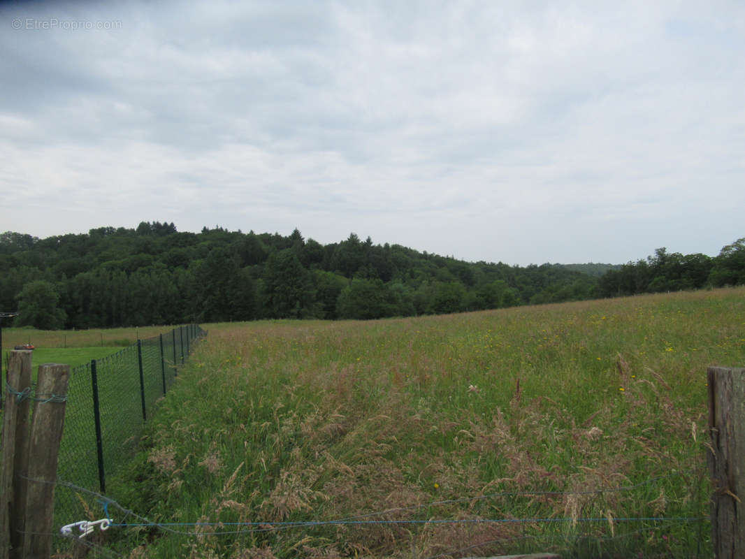 Terrain à SAINT-YRIEIX-LA-PERCHE