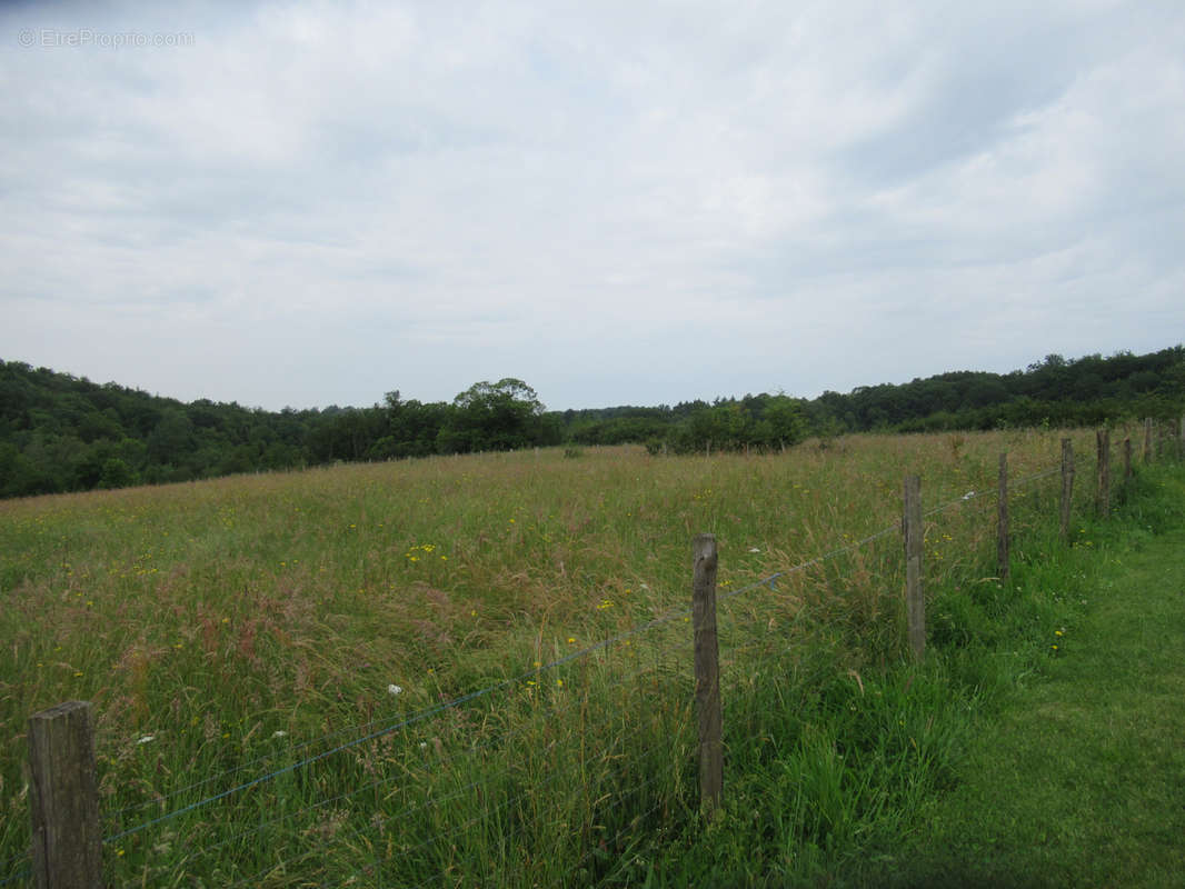 Terrain à SAINT-YRIEIX-LA-PERCHE