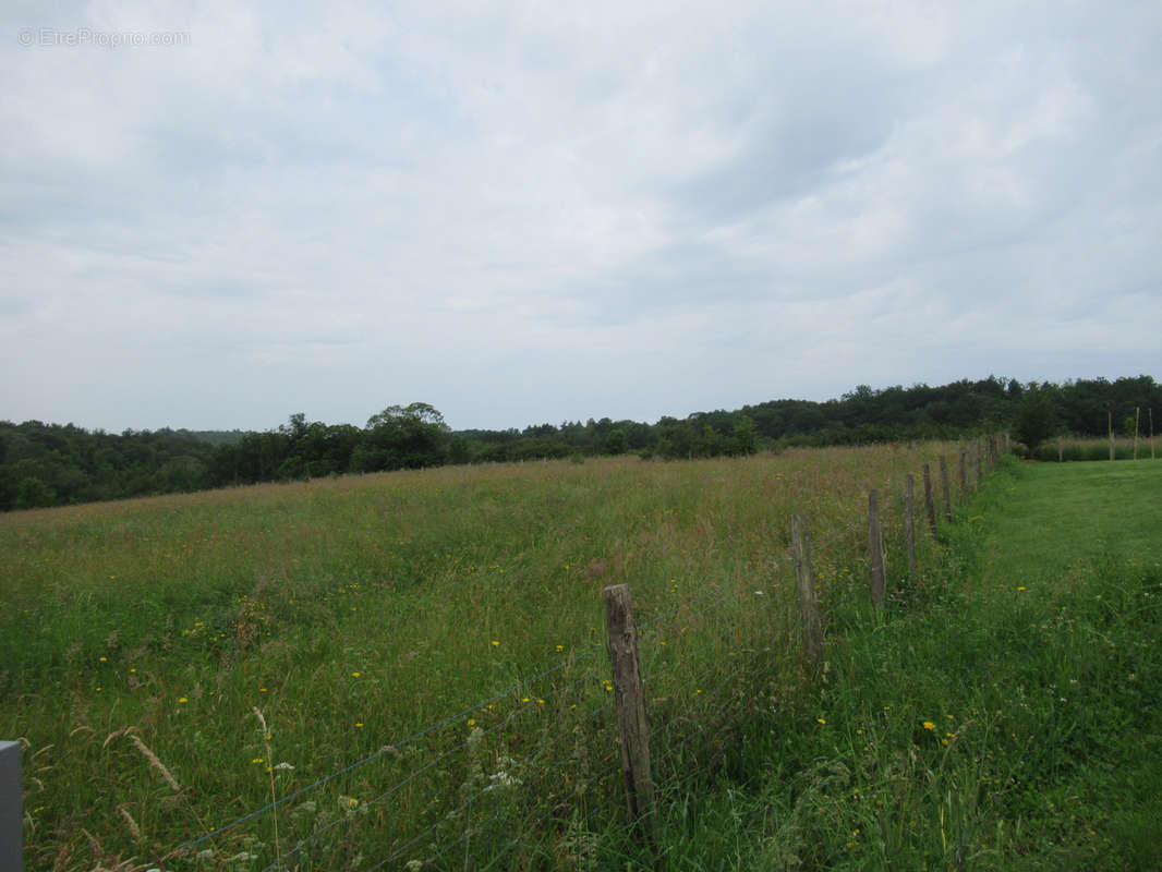 Terrain à SAINT-YRIEIX-LA-PERCHE