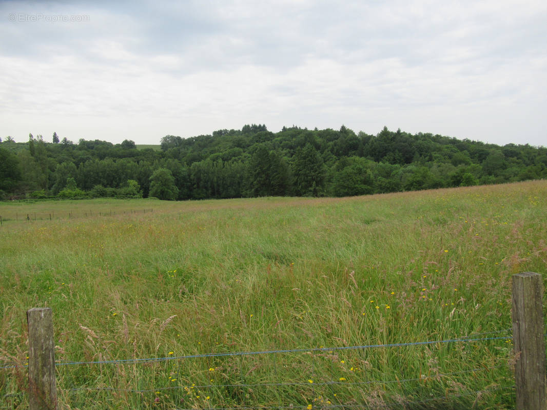 Terrain à SAINT-YRIEIX-LA-PERCHE