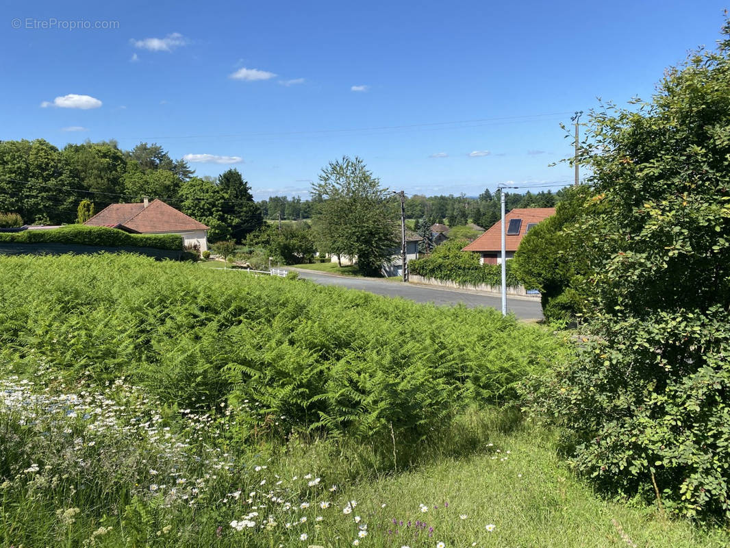 Terrain à SAINT-SORNIN-LAVOLPS