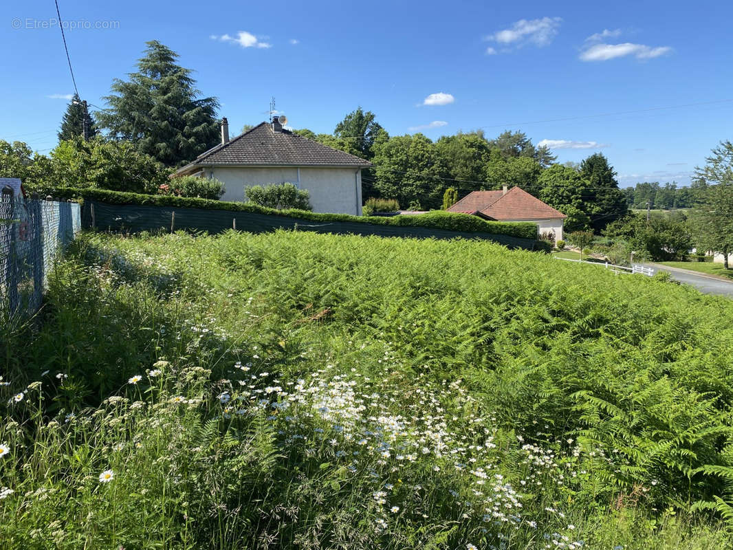 Terrain à SAINT-SORNIN-LAVOLPS