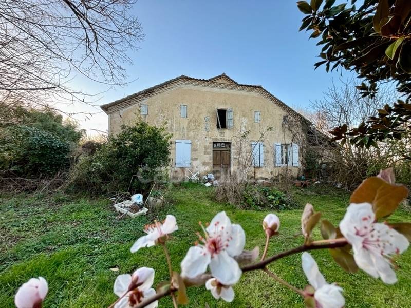 Maison à NOGARO