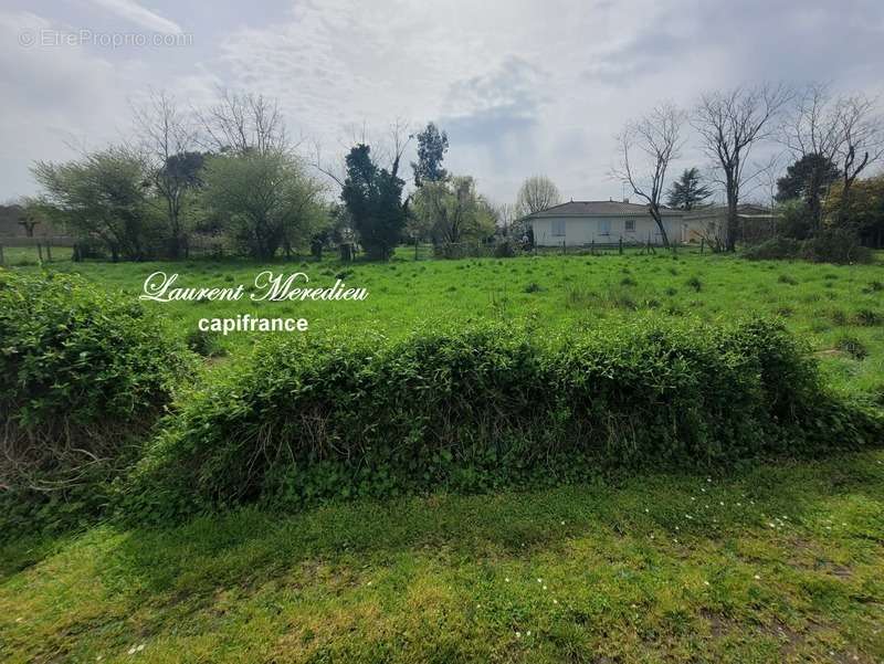 Terrain à LEOGNAN