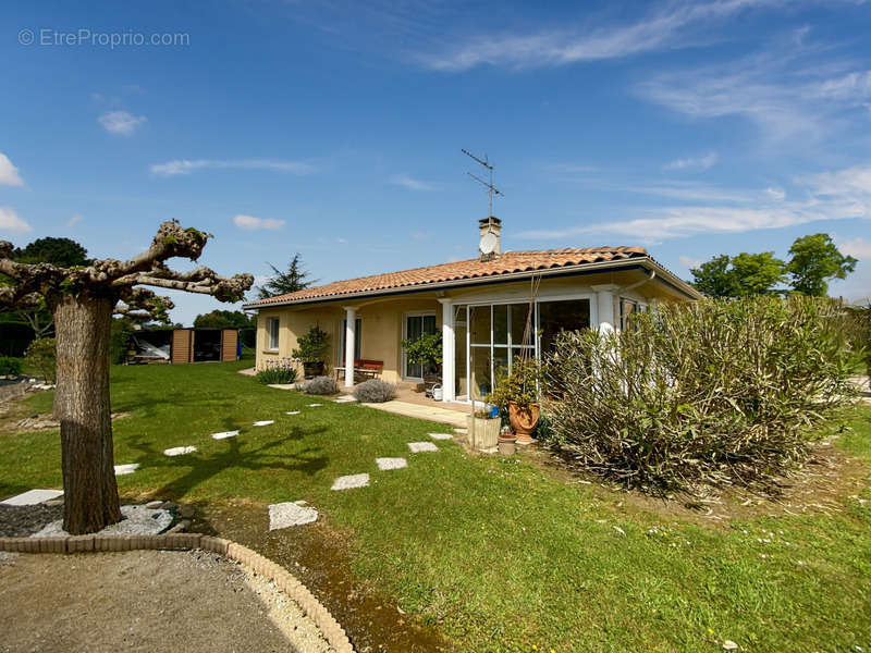 Maison à AIRE-SUR-L&#039;ADOUR