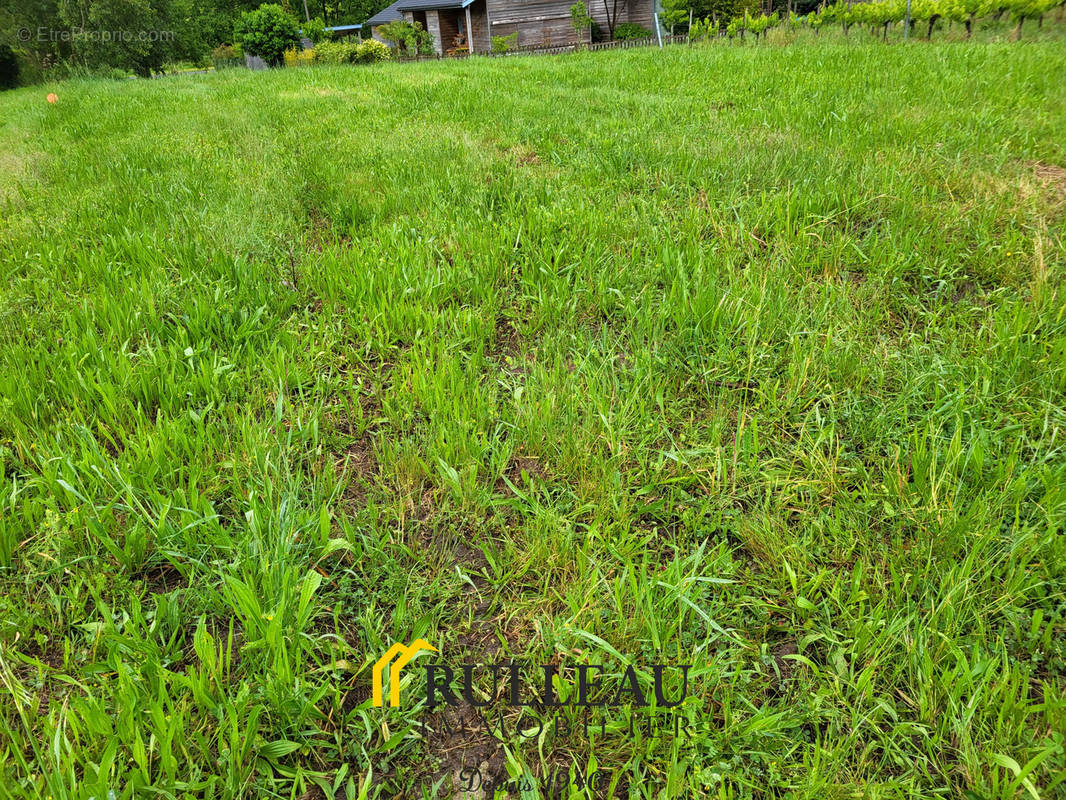 Terrain à TEUILLAC