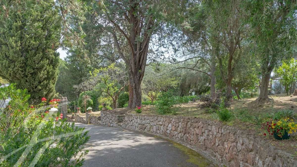 Maison à CANNES