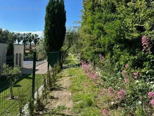 Terrain à MOUGINS