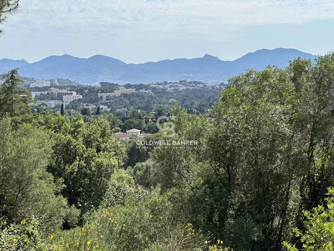 Terrain à MOUGINS